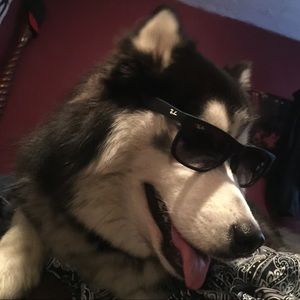 Meet your Posher, Dre